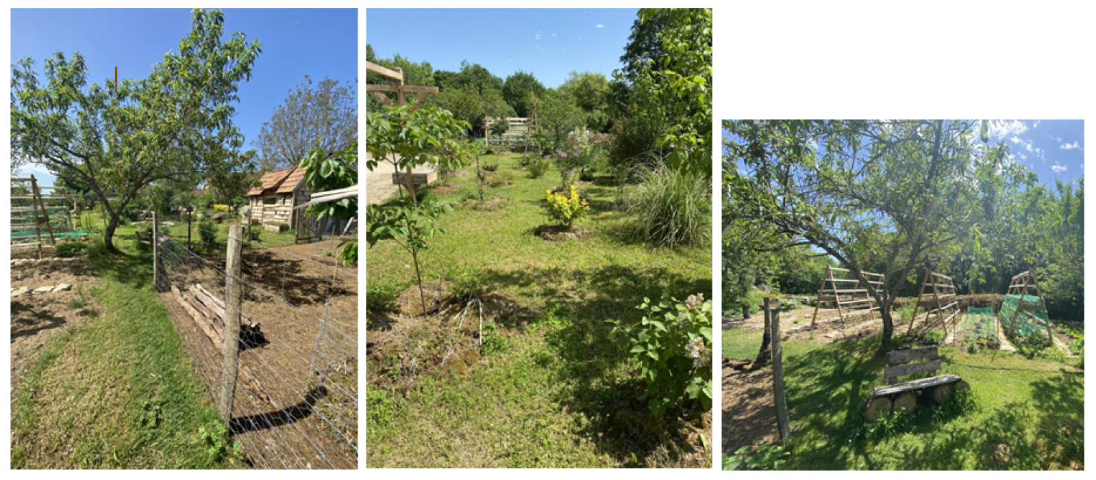 Image_, Maison, Miers, ref :1004