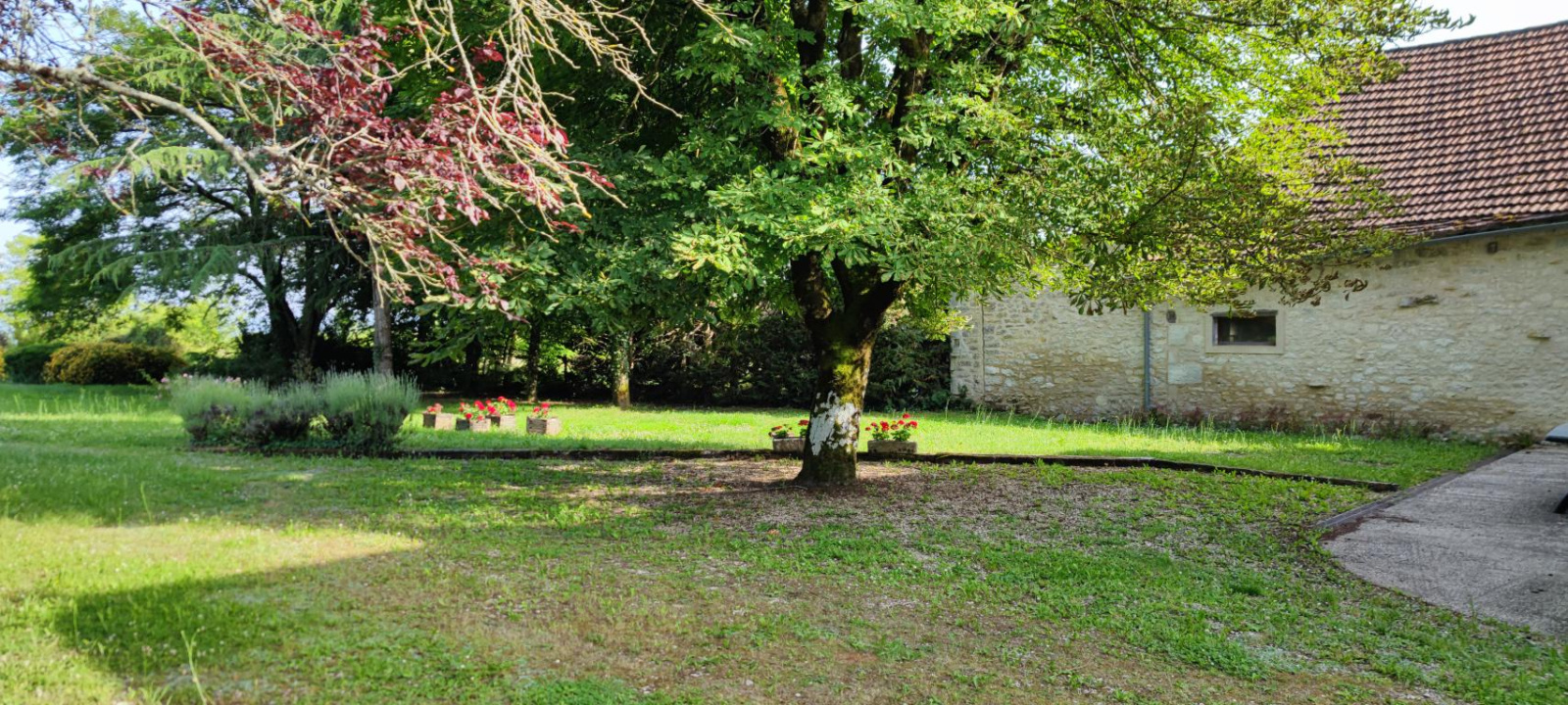 Image_, Maison, Mayrac, ref :1005